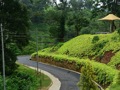 dbu_campus