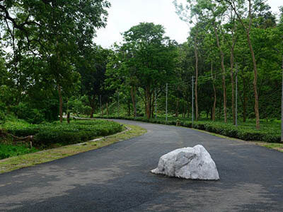 dbu_campus