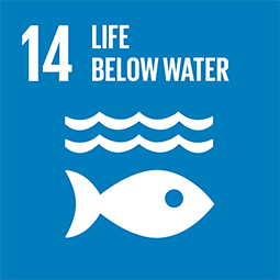 SDG1-No-Poverty