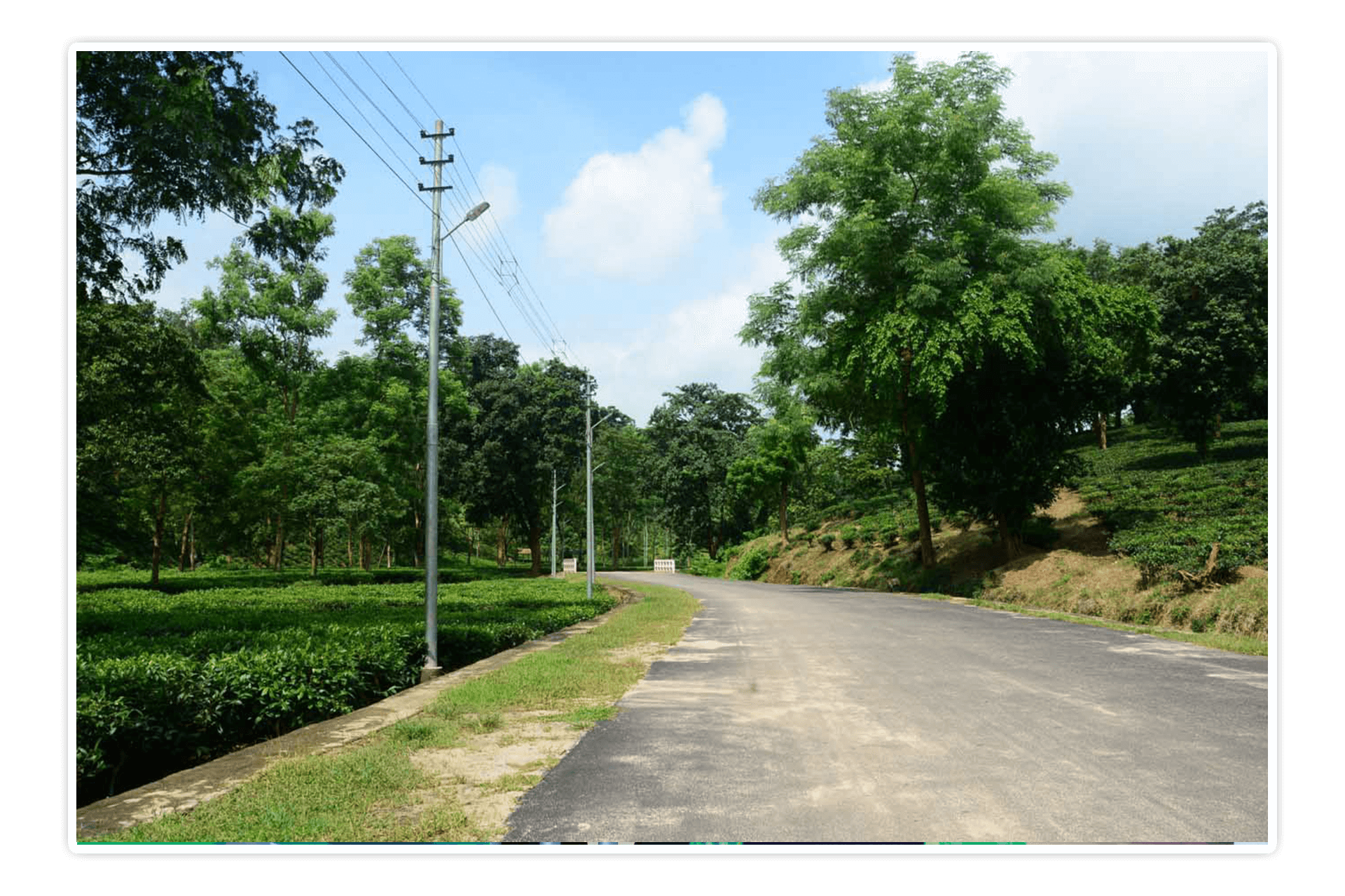 dbu_campus