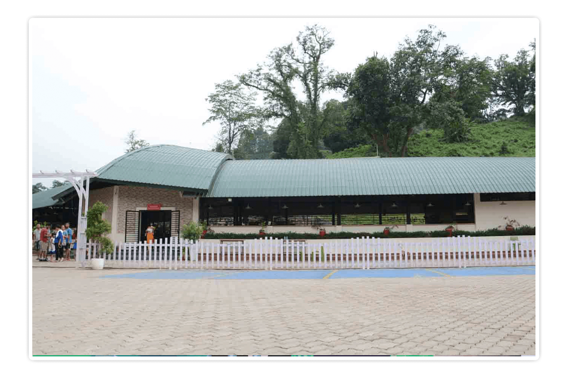 dbu_campus