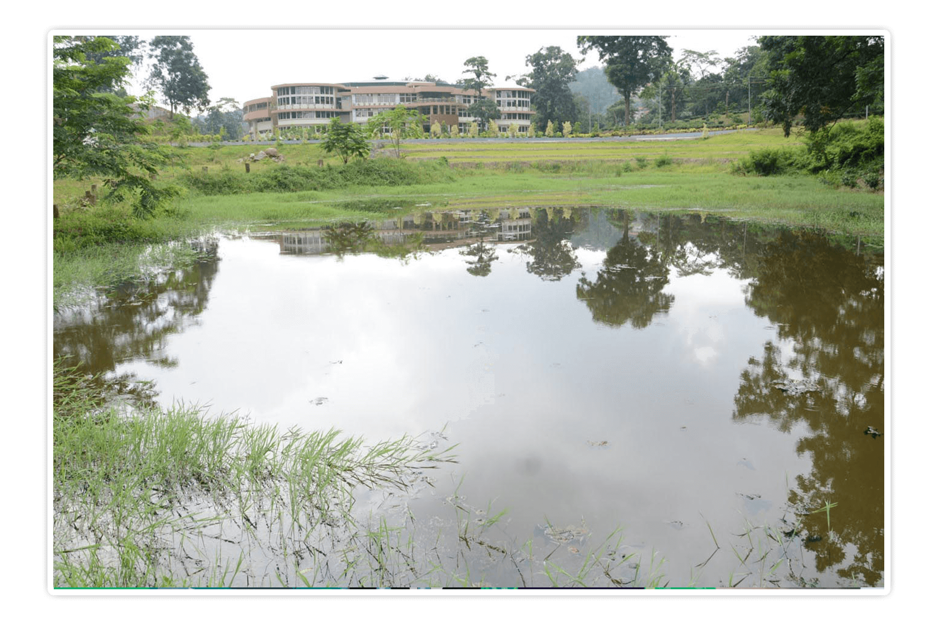 dbu_campus