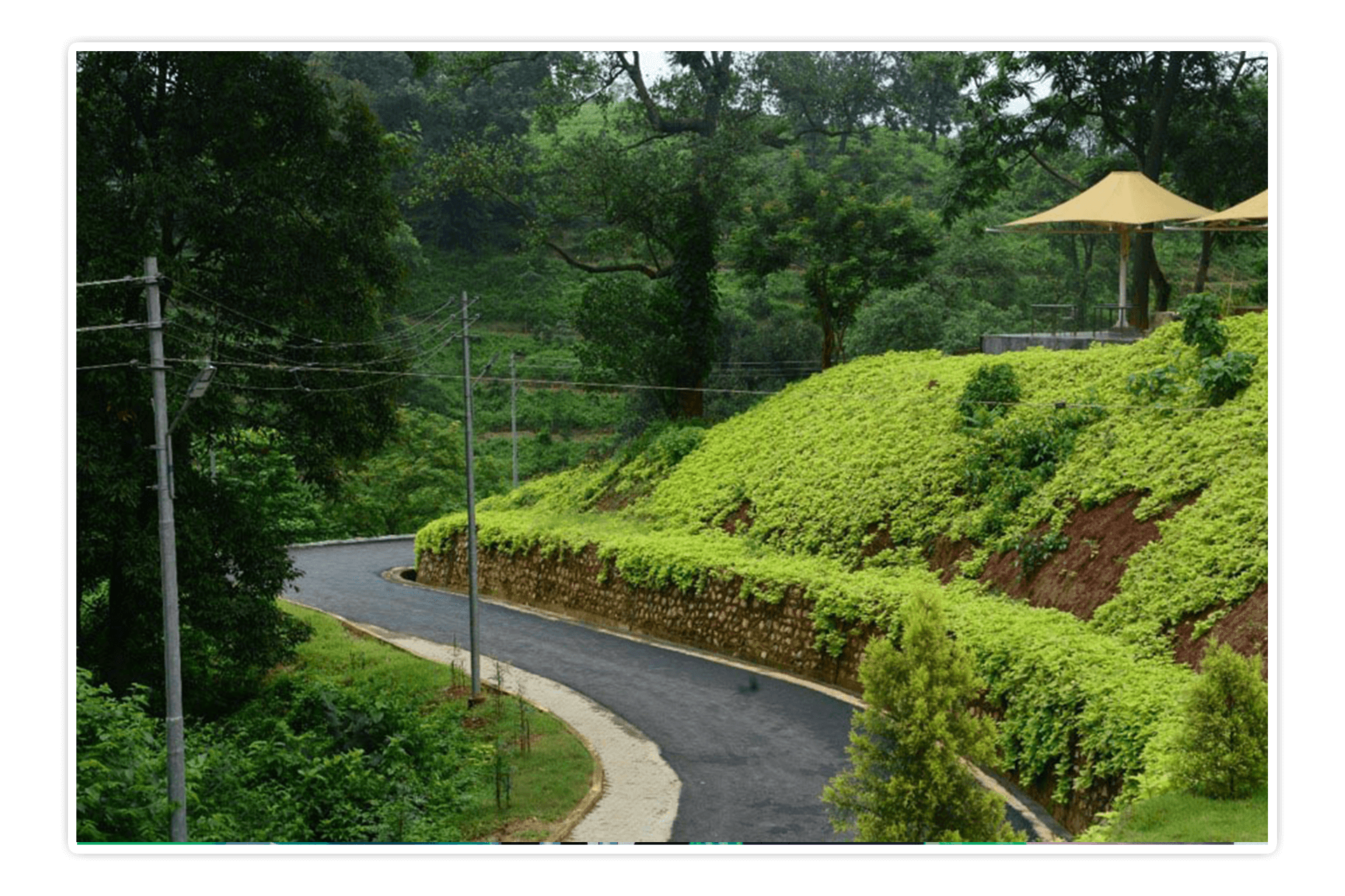 dbu_campus